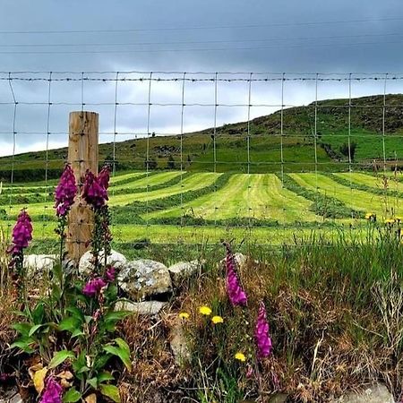 Cathleen'S Cottage Newry Bagian luar foto