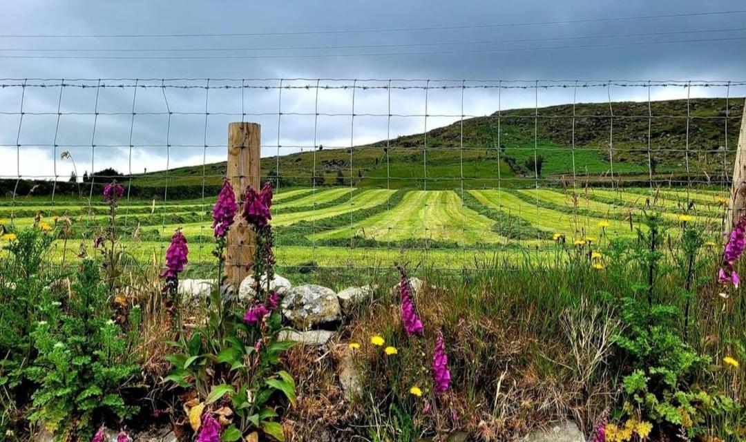 Cathleen'S Cottage Newry Bagian luar foto