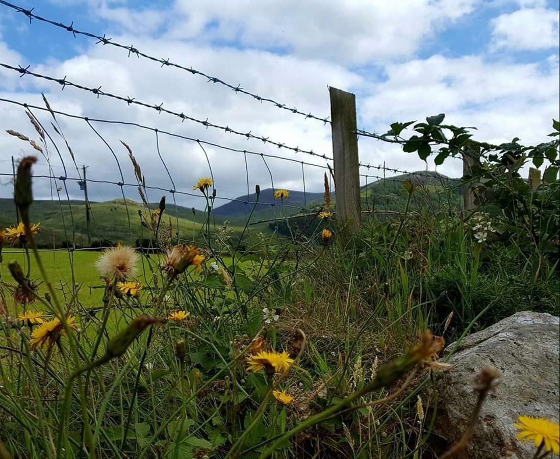 Cathleen'S Cottage Newry Bagian luar foto
